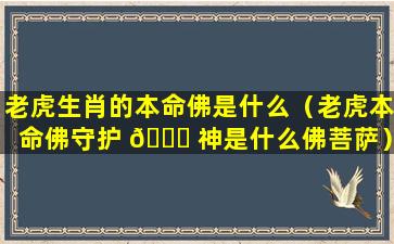 老虎生肖的本命佛是什么（老虎本命佛守护 🍀 神是什么佛菩萨）